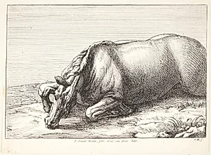Falden hest by Jan van Huchtenburg