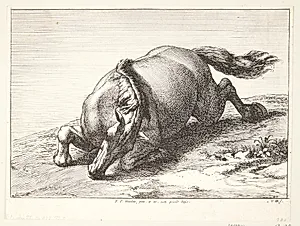 Falden hest by Jan van Huchtenburg