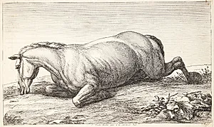 Falden hest, vendt mod venstre by Jan van Huchtenburg