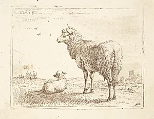 Får med et lam by Karel Du Jardin