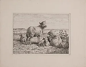 Får og lam by Madsen, A.P.