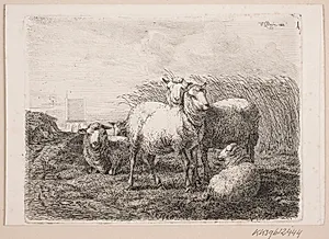 Får på marken by Johannes Wilhelm Zillen