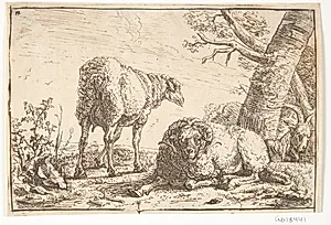 Får, vædder og ged by Barend Graat