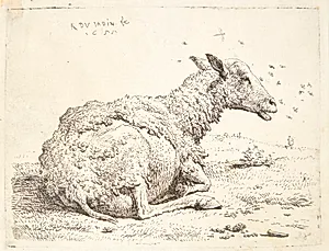 Fåret og fluerne by Karel Du Jardin