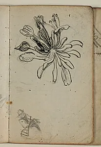 Figur- og plantestudier by Niels Larsen Stevns
