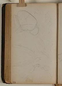 Figurstudie, studier over forskellige fuglearter by Niels Larsen Stevns