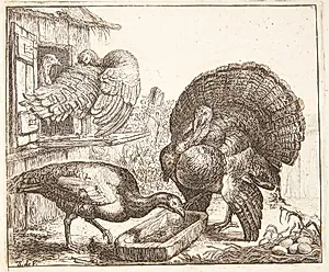 Fire kalkuner by Simon de Vlieger