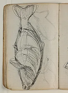 Fiskeskitser by Niels Larsen Stevns