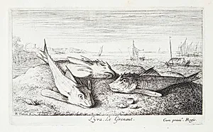 Fløjfisk (Lyra) by Albert Flamen