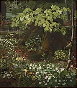 Forår i Charlottenlund Skov