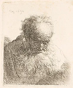 Foroverbøjet hoved af en gammel mand by Rembrandt van Rijn