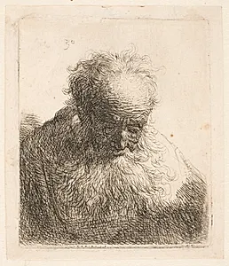 Foroverbøjet hoved af en gammel mand by Rembrandt van Rijn