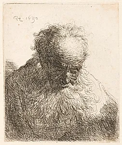 Foroverbøjet hoved af en gammel mand by Rembrandt van Rijn