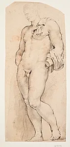 Forsiden af den antikke skulptur ’Belvedere Antinous’ set halvt vendt mod venstre by Willem Panneels