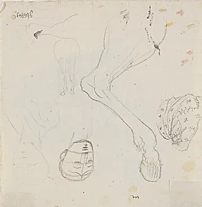 Forskellige blyantsrids, bl.a. hoveder og heste by C.A. Lorentzen