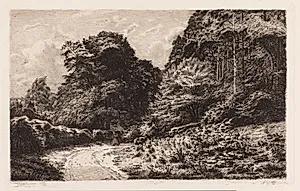 Fra Ørholm skov by Louise Ravn-Hansen
