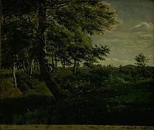 Fra Ørsbjerg skov ved Årup by Dankvart Dreyer