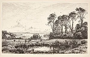 Fra Sjællands sydstrand