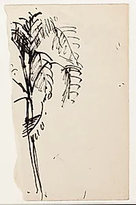 Fragment af en tegning af en palme