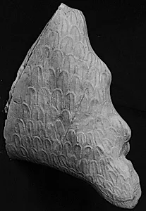 Fragment, Athenas venstre arm by Ubekendt