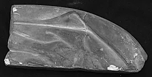 Fragment. Liggende mand mod højre, Alfeios by Ubekendt