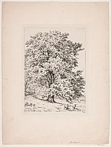 Fruens bøg. Hindsgavl by Axel Schovelin