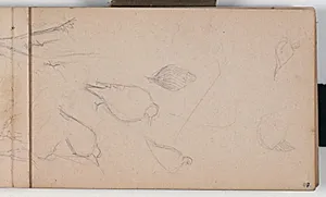 Fuglerids by Niels Larsen Stevns