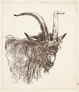 Gedehoved vendt mod højre by Nicolaes Berchem