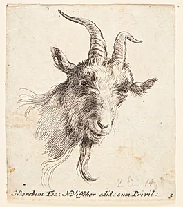 Gedehoved vendt mod højre by Nicolaes Berchem
