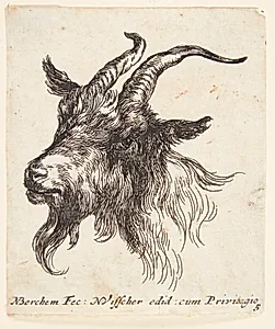 Gedehoved vendt mod venstre by Nicolaes Berchem