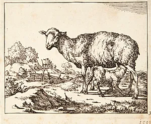 Gimmer og lam by Marcus de Bye