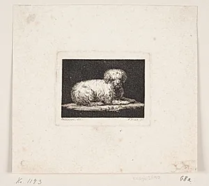 Giordano, en liggende hund by Andreas Flint