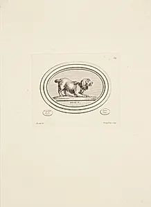 Gøende hund by Madame de Pompadour