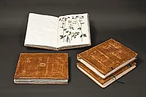 Gottorfer Codex, bd. 3 by Hans Simon Holtzbecker