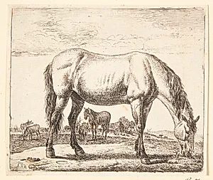 Græssende hest by Adriaen van de Velde