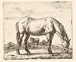 Græssende hest by Adriaen van de Velde