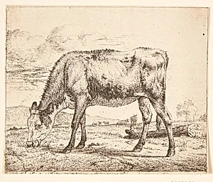 Græssende kalv by Adriaen van de Velde