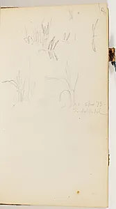 Græstrå og siv by P.C. Skovgaard