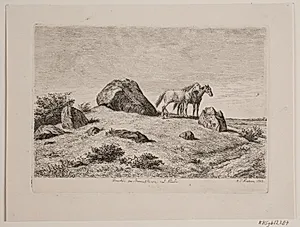 Gravhøj fra stenalderen ved Neiede by Madsen, A.P.