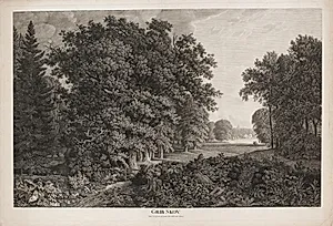 Grib Skov med udsigt over Esrum Sø til Fredensborg by Søren Henrik Petersen