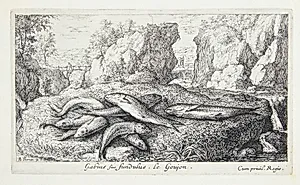 Grundling (Gabius siue fundulus) by Albert Flamen