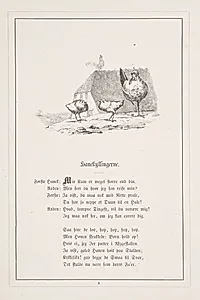 Hanekyllingerne. Illustration til H.V. Kaalund, "Fabler for Børn" by H.P. Hansen