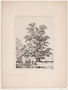 Hardenberg egen by Axel Schovelin