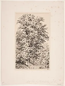 Herthadalbøgen. Lejre by Axel Schovelin