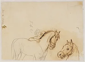 Hest og hestehoved by Wilhelm Marstrand