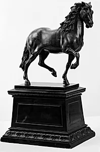 Hest