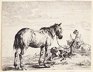 Hest tøjret til en pæl by Dirk Stoop