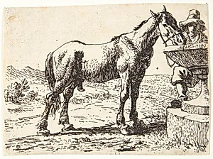 Hest ved en brønd by Pieter van Laer