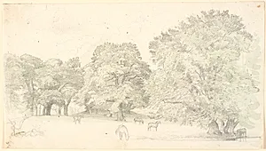 Heste på en lysning ved store egetræer. Sandsynligvis Dyrehaven. by P.C. Skovgaard