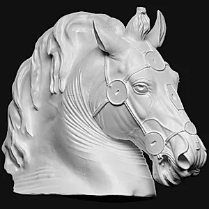 Hesten fra Marcus Aurelius rytterstatue by Ubekendt